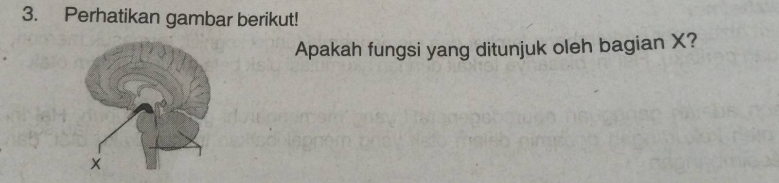 Perhatikan gambar berikut! 
Apakah fungsi yang ditunjuk oleh bagian X?