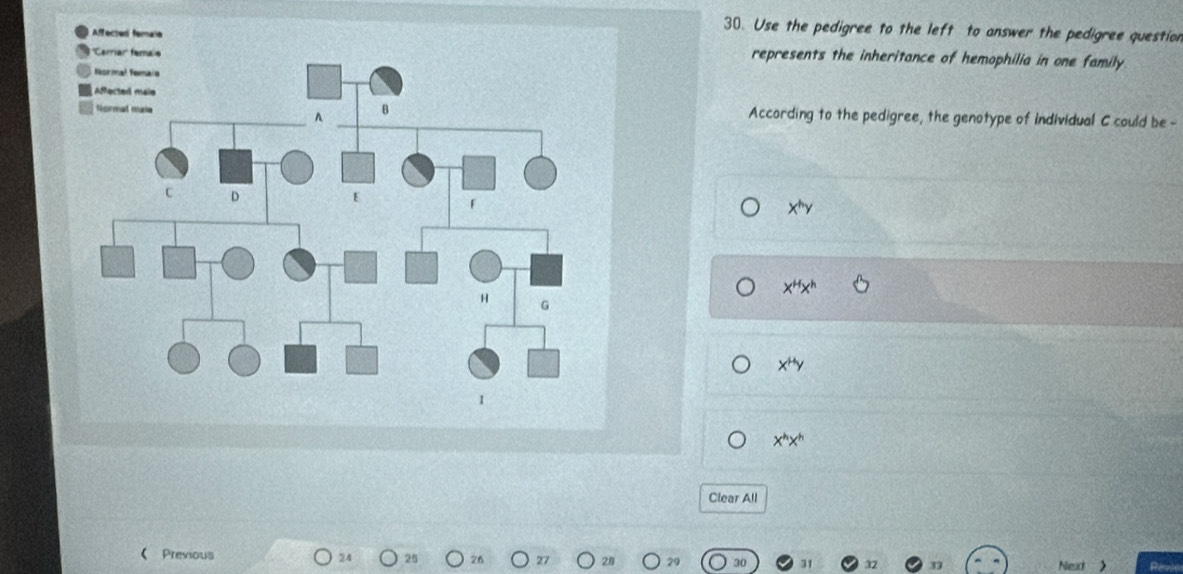 Use the pedigree to the left to answer the pedigree question
represents the inheritance of hemophilia in one family
According to the pedigree, the genotype of individual C could be -
x^hy
x^Hx^h
x^Hy
x^hx^h
Clear All
( Previous
25 20 Next > Rerece
T