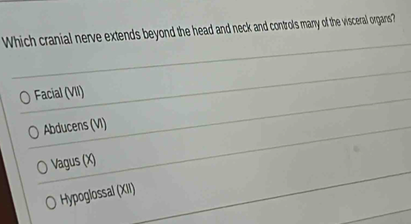 Which cranial nerve extends beyond the head and neck and controls many of the visceral organs?
Facial (VII)
Abducens (VI)
Vagus (X)
Hypoglossal (XII)