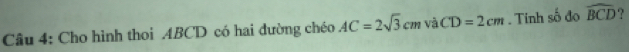 Cho hình thoi ABCD có hai đường chéo AC=2sqrt(3)cm và CD=2cm. Tính số đo widehat BCD ?