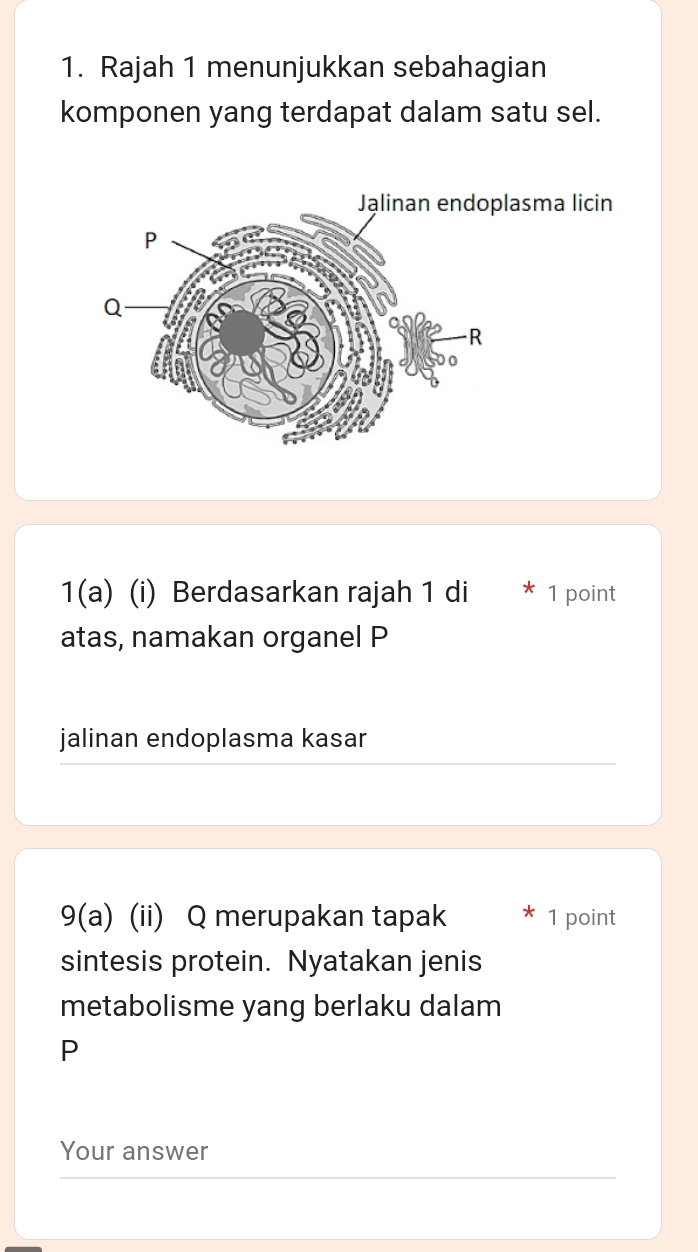 Rajah 1 menunjukkan sebahagian 
komponen yang terdapat dalam satu sel. 
sma licin 
1(a) (i) Berdasarkan rajah 1 di * 1 point 
atas, namakan organel P 
jalinan endoplasma kasar 
9(a) (ii) Q merupakan tapak 1 point 
sintesis protein. Nyatakan jenis 
metabolisme yang berlaku dalam
P
Your answer