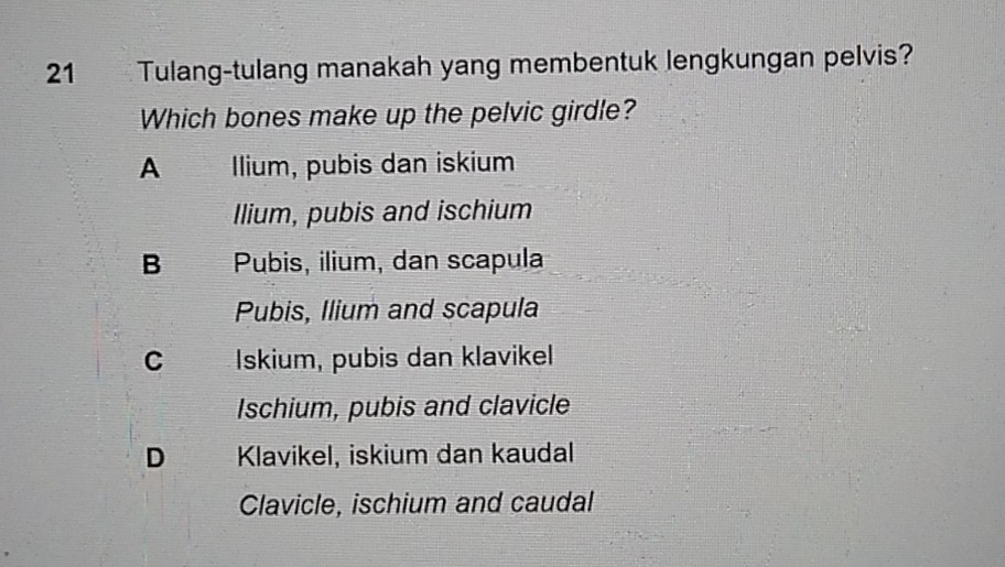 Tulang-tulang manakah yang membentuk lengkungan pelvis?
Which bones make up the pelvic girdle?
A Ilium, pubis dan iskium
Ilium, pubis and ischium
B Pubis, ilium, dan scapula
Pubis, Ilium and scapula
C Iskium, pubis dan klavikel
Ischium, pubis and clavicle
D ___ Klavikel, iskium dan kaudal
Clavicle, ischium and caudal