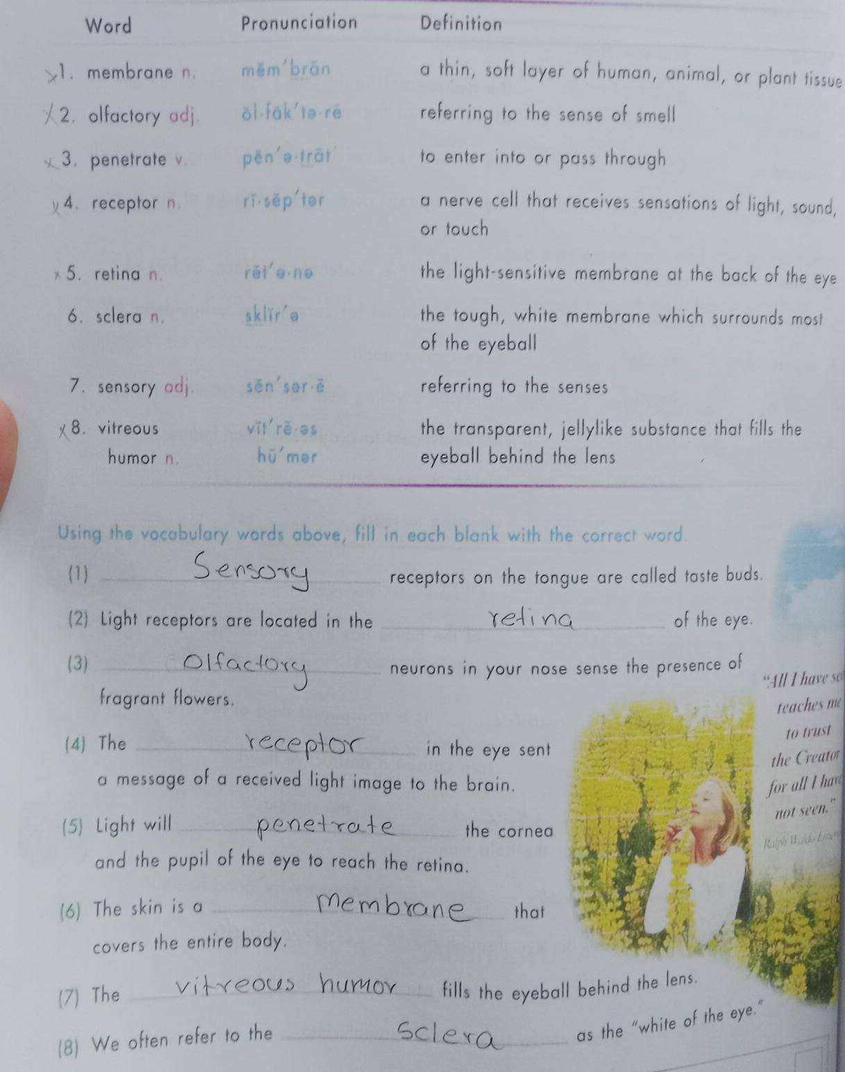 Word Pronunciation Definition 
ssue 
nd, 
eye 
t 
( 1) _receptors on the tongue are called taste buds. 
(2) Light receptors are located in the _of the eye. 
(3)_ 
neurons in your nose sense the presence of 
“All I have s 
fragrant flowers. 
teaches mé 
to trust 
(4) The _in the eye sent 
the Creator 
a message of a received light image to the brain.for all I haw 
not seen." 
(5) Light will _the cornea í 
and the pupil of the eye to reach the retina. 
(6) The skin is a _that 
covers the entire body. 
(7) The_ 
fills the eyeball behind the lens. 
(8) We often refer to the_ 
as the “white of the eye.”