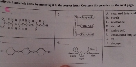 ntify each molecule below by matching it to the correct letter. Continue this practice on the next page.
_
3._ A. saturated fatty acid
Fatty Acid B. starch
C. nucleotide
: Fatty Acid D. steroid
HO
E amino acid
Fatty Acid F. unsaturated fatty ac
G. fat
_H. glucose
P Base
40phosphate 5 nitrogenous
base
group Burgstet