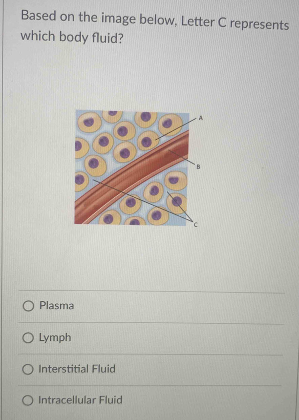 Based on the image below, Letter C represents
which body fluid?
Plasma
Lymph
Interstitial Fluid
Intracellular Fluid