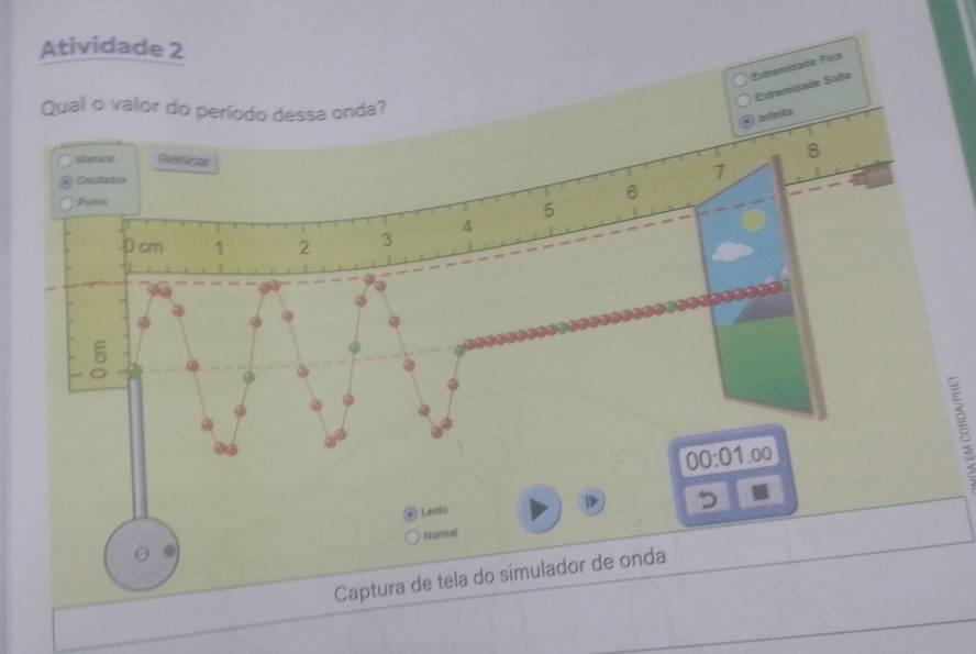 Atividade 2 
Extremidade Fixa 
Extremidade Soña 
Qual o valor do período dessa onda? 
Infeuta 
Sarice Reinicar
8
Cactotis 1
Pates
6
5
4
0cm 1 2 3
② 
E 
② 
。 
φ 
00:01 00 
. Lends 5
I 
Mipernal 
。 
Captura de tela do simulador de onda