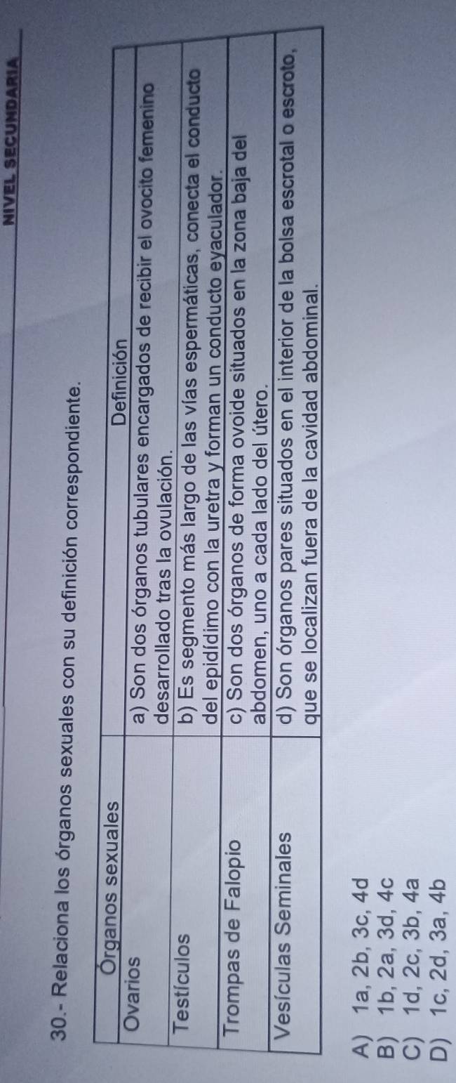 NIVEL SECUNDARIA
30.- Relaciona los órganos sexuales con su definición correspondiente.
A) 1a, 2b, 3c, 4d
B) 1b, 2a, 3d, 4c
C) 1d, 2c, 3b, 4a
D) 1c, 2d, 3a, 4b