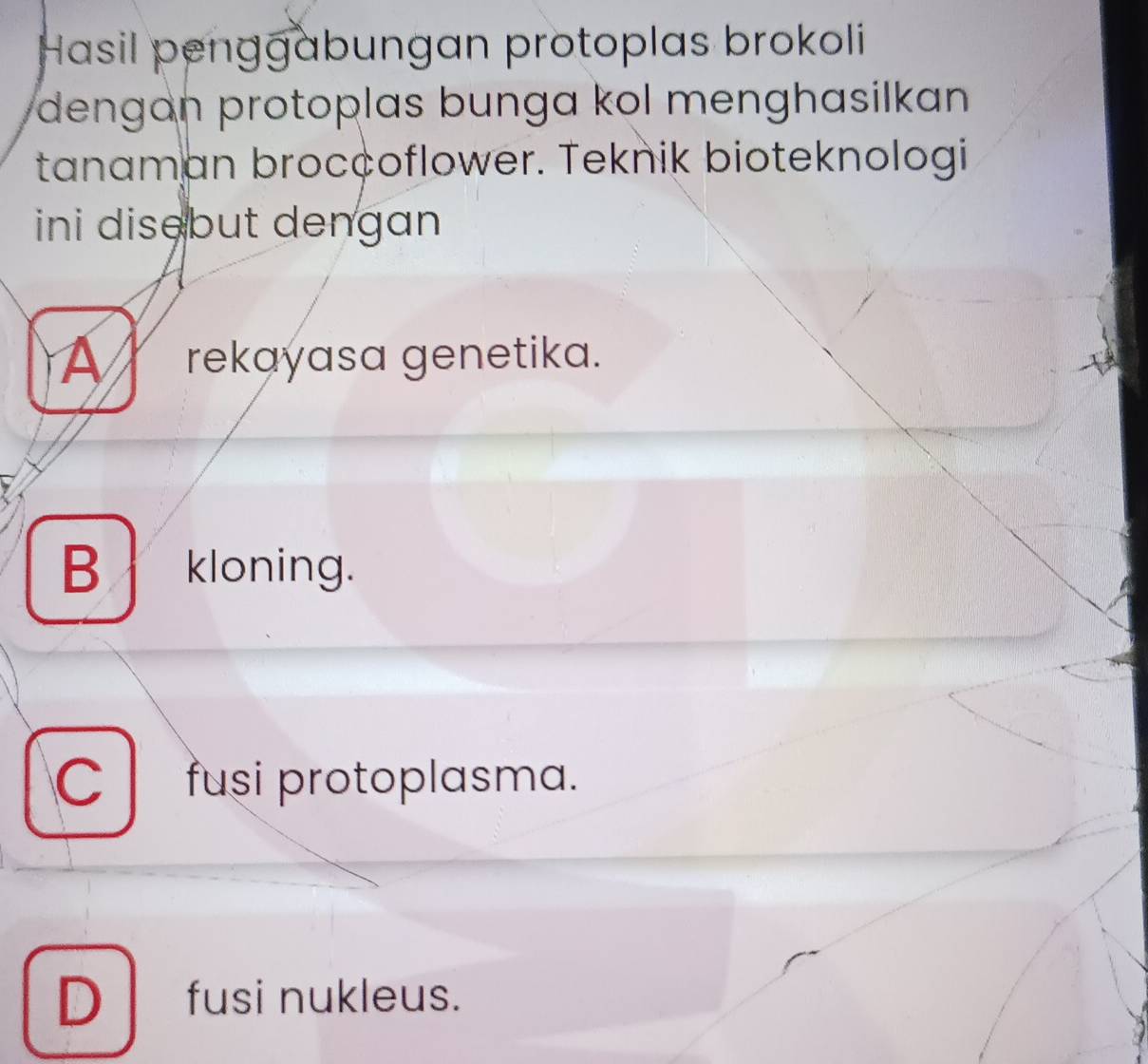 Hasil penggabungan protoplas brokoli
dengan protoplas bunga kol menghasilkan 
tanam an brocçoflower. Teknik bioteknologi
ini disebut dengan
_ rekayasa genetika.
B kloning.
Cfusi protoplasma.
D fusi nukleus.