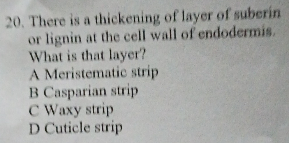 There is a thickening of layer of suberin
or lignin at the cell wall of endodermis.
What is that layer?
A Meristematic strip
B Casparian strip
C Waxy strip
D Cuticle strip