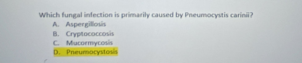 Which fungal infection is primarily caused by Pneumocystis carinii?
A. Aspergillosis
B. Cryptococcosis
C. Mucormycosis
D. Pneumocystosis