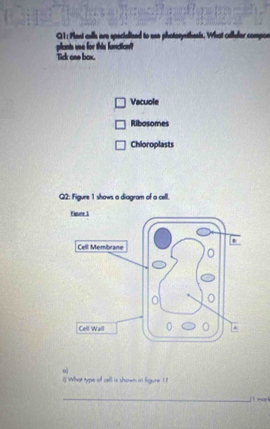 Plant cells are spacialized to me pha 
plants use for this function? 
Tick ose box. 
Vacuole 
Ribosomes 
Chioroplasts 
Q2: Figure 1 shows a diagram of a cell. 
i]) What type of cell is shown in fgure I ? 
_ mar