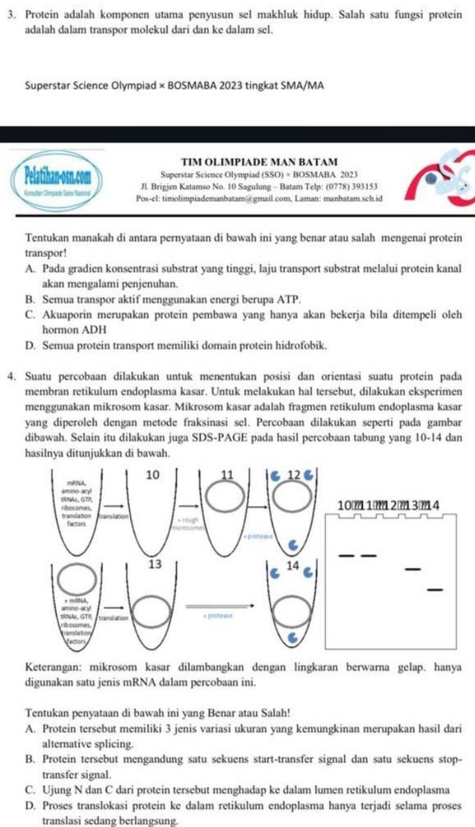 Protein adalah komponen utama penyusun sel makhluk hidup. Salah satu fungsi protein
adalah dalam transpor molekul dari dan ke dalam sel.
Superstar Science Olympiad × BOSMABA 2023 tingkat SMA/MA
TIM OLIMPIADE MAN BATAM
Pelatihan-osn.com Superstar Science Olympiad (SSO) × BOSMABA 2023
Jl. Brigjen Katamso No. 10 Sagulung - Batam Telp: (0778) 393153
Kormufan Clémpiode Sains Nasional Pos-el: timolimpiademanbatam@gmail.com, Laman: manbatam.sch.id
Tentukan manakah di antara pernyataan di bawah ini yang benar atau salah mengenai protein
transpor!
A. Pada gradien konsentrasi substrat yang tinggi, laju transport substrat melalui protein kanal
akan mengalami penjenuhan.
B. Semua transpor aktif menggunakan energi berupa ATP.
C. Akuaporin merupakan protein pembawa yang hanya akan bekerja bila ditempeli oleh
hormon ADH
D. Semua protein transport memiliki domain protein hidrofobik.
4. Suatu percobaan dilakukan untuk menentukan posisi dan orientasi suatu protein pada
membran retikulum endoplasma kasar. Untuk melakukan hal tersebut, dilakukan eksperimen
menggunakan mikrosom kasar. Mikrosom kasar adalah fragmen retikulum endoplasma kasar
yang diperoleh dengan metode fraksinasi sel. Percobaan dilakukan seperti pada gambar
dibawah. Selain itu dilakukan juga SDS-PAGE pada hasil percobaan tabung yang 10-14 dan
hasilnya ditunjukkan di bawah.
Keterangan: mikrosom kasar dilambangkan dengan lingkaran berwarna gelap. hanya
digunakan satu jenis mRNA dalam percobaan ini.
Tentukan penyataan di bawah ini yang Benar atau Salah!
A. Protein tersebut memiliki 3 jenis variasi ukuran yang kemungkinan merupakan hasil dari
alternative splicing.
B. Protein tersebut mengandung satu sekuens start-transfer signal dan satu sekuens stop-
transfer signal.
C. Ujung N dan C dari protein tersebut menghadap ke dalam lumen retikulum endoplasma
D. Proses translokasi protein ke dalam retikulum endoplasma hanya terjadi selama proses
translasi sedang berlangsung.