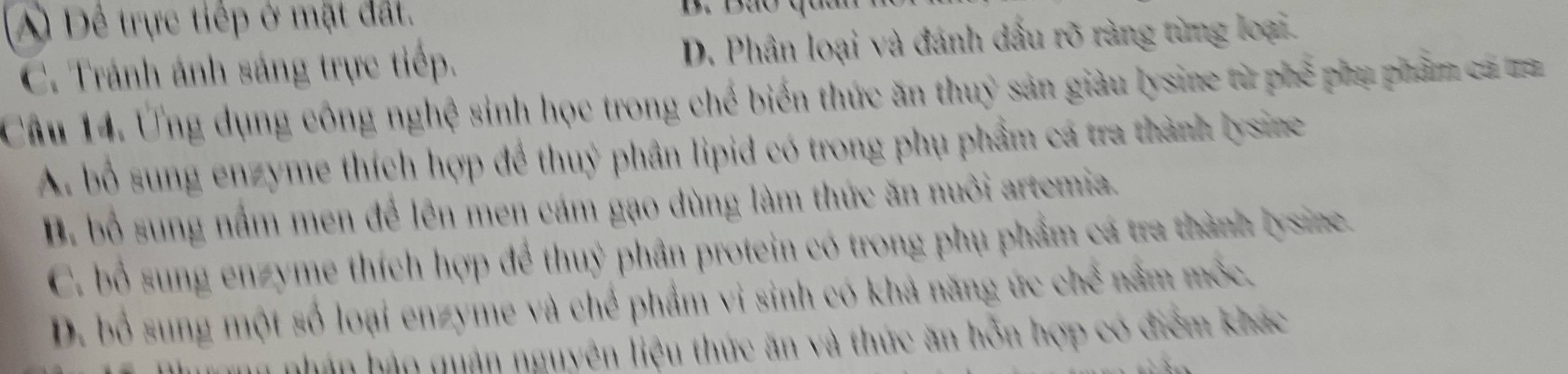 A) Để trực tiếp ở mặt đất.
C. Tránh ánh sáng trực tiếp. D. Phân loại và đánh dấu rõ ràng từng loại.
Câu 14. Ứng dụng công nghệ sinh học trong chế biến thức ăn thuỷ sản giàu lysine từ phế phụ phẩm cá mra
A. bố sung enzyme thích hợp để thuỷ phân lipid có trong phụ phẩm cá tra thành lysine
B. bố sung nấm men để lên men cám gạo dùng làm thức ăn nuôi artemia.
C. bổ sung enzyme thích hợp để thuỷ phân protein có trong phụ phẩm cá tra thành lysine.
D. bố sung một số loại enzyme và chể phẩm vi sinh có khả năng ức ch^(frac 1)2 nầm mộc
nhân bảp quân nguyên liệu thức ăn và thức ăn hỗn hợp có điểm khác