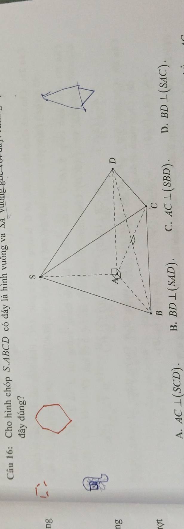 Cho hình chóp S. ABCD có đáy là hình vuống và SA Vường gọc vô
đây đúng?
ng
ng
rợt
A. AC⊥ (SCD). B. BD⊥ (SAD). C. AC⊥ (SBD). D. BD⊥ (SAC).