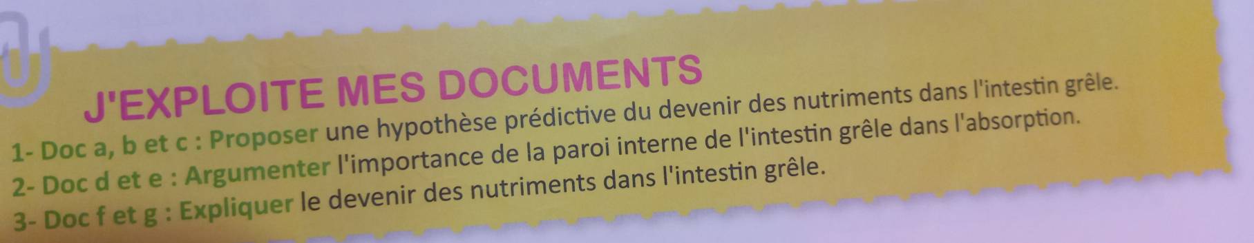 J'EXPLOITE MES DOCUMENTS 
1- Doc a, b et c : Proposer une hypothèse prédictive du devenir des nutriments dans l'intestin grêle. 
2- Doc d et e : Argumenter l'importance de la paroi interne de l'intestin grêle dans l'absorption. 
3- Doc f et g : Expliquer le devenir des nutriments dans l'intestin grêle.