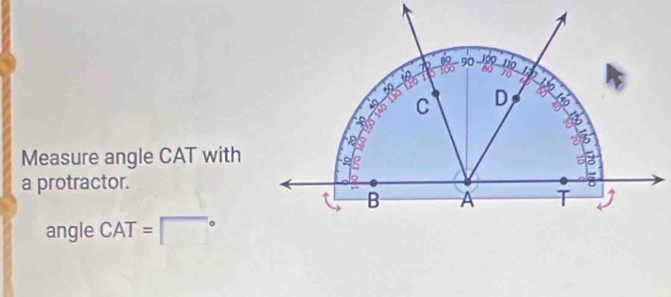 Measure angle CAT with 
a protractor. 
angle CAT= 。