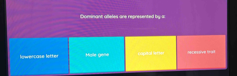 Dominant alleles are represented by a:
lowercase letter Male gene capital letter recessive trait