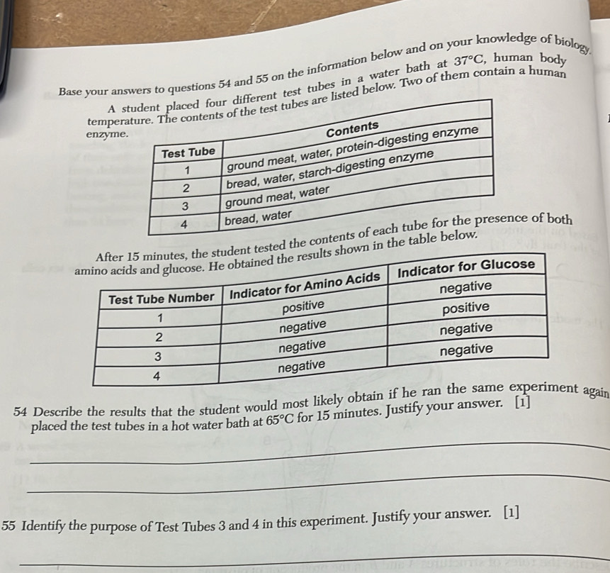 Base your answers to questions 54 and 55 on the information below and on nowledge of biology. 
A est tubes in a water bath at 37°C , human body 
tempe below. Two of them contain a human 
enzym 
d thee of both 
in th 
54 Describe the results that the student would most likely obtaagain 
_ 
placed the test tubes in a hot water bath at 65°C for 15 minutes. Justify your answer. [1] 
_ 
55 Identify the purpose of Test Tubes 3 and 4 in this experiment. Justify your answer. [1] 
_