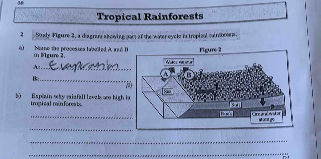 Tropical Rainforests 
2 Study Figure 2, a diagram showing part of the water cycle in tropical rainforests. 
a) Name the processes labelled A and B 
in Figure 2. 
A:_ 
B:_ 
b) Explain why rainfall levels are high i 
tropical rainforests. 
_ 
_ 
_ 
_