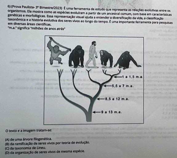 (Prova Paulista- 3° Bimestre/2023) É uma ferramenta de estudo que representa as relações evolutivas entre os
organismos. Ela mostra como as espécies evoluíram a partir de um ancestral comum, com base em características
genéticas e morfológicas. Essa representação visual ajuda a entender a diversificação da vida, a classificação
taxonômica e a história evolutiva dos seres vivos ao longo do tempo. É uma importante ferramenta para pesquisas
em diversas áreas científicas.
''m.a.'' significa ''milhões de anos atrás''
O texto e a imager tratam-se:
(A) de uma árvore filogenética.
(B) da ramificação de seres vivos por teoria de evolução.
(C) da taxonomia de Lineu.
(D) da organização de seres vivos de mesma espécie.