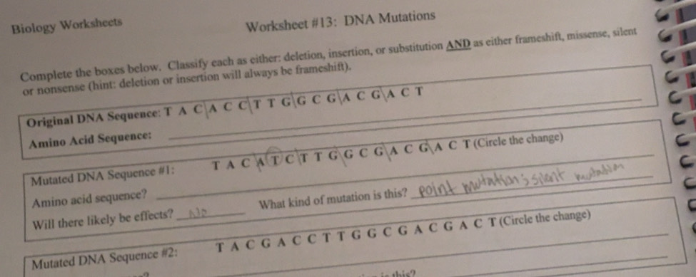 Solved: Biology Worksheets Worksheet #13: DNA Mutations Complete the ...