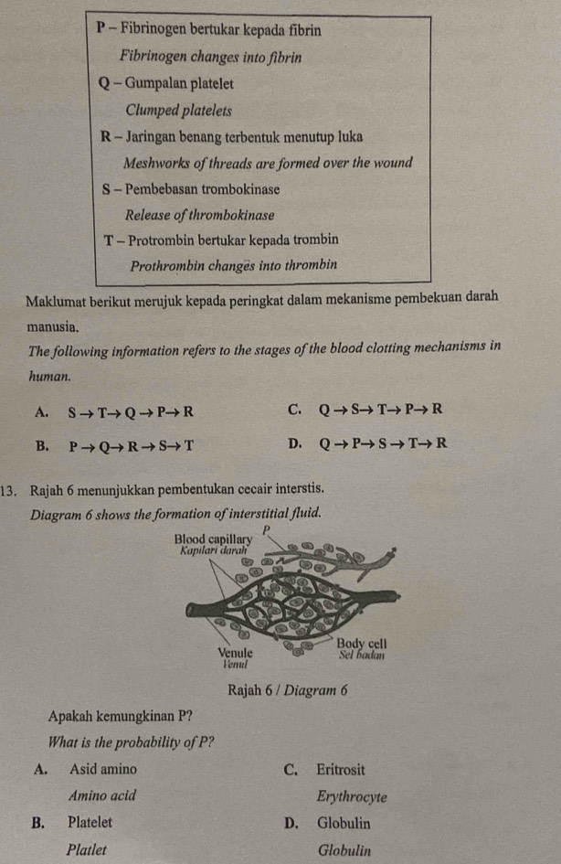 Fibrinogen bertukar kepada fibrin
Fibrinogen changes into fibrin
Q - Gumpalan platelet
Clumped platelets
R - Jaringan benang terbentuk menutup luka
Meshworks of threads are formed over the wound
S - Pembebasan trombokinase
Release of thrombokinase
T - Protrombin bertukar kepada trombin
Prothrombin changes into thrombin
Maklumat berikut merujuk kepada peringkat dalam mekanisme pembekuan darah
manusia.
The following information refers to the stages of the blood clotting mechanisms in
human.
A. Sto Tto Qto Pto R C. Qto Sto Tto Pto R
B. Pto Qto Rto Sto T D. Qto Pto Sto Tto R
13. Rajah 6 menunjukkan pembentukan cecair interstis.
Diagram 6 shows the formation of interstitial fluid.
Rajah 6 / Diagram 6
Apakah kemungkinan P?
What is the probability of P?
A. Asid amino C. Eritrosit
Amino acid Erythrocyte
B. Platelet D. Globulin
Platlet Globulin