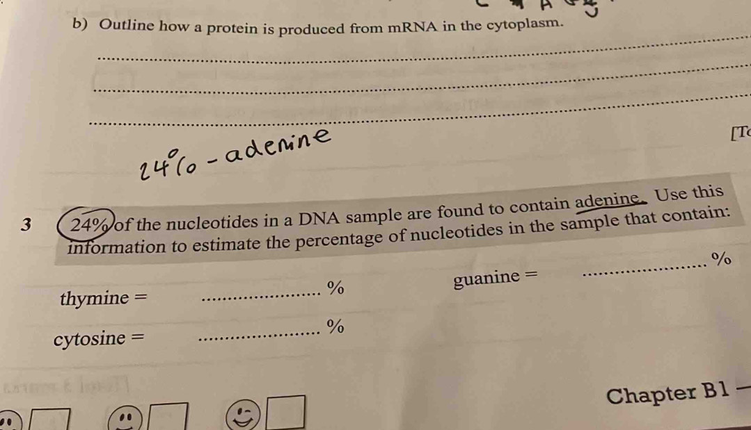 Outline how a protein is produced from mRNA in the cytoplasm. 
_ 
_ 
_ 
[T 
3 24% of the nucleotides in a DNA sample are found to contain adenine. Use this 
information to estimate the percentage of nucleotides in the sample that contain: 
_ %
guanine =
thymine = 
_% 
_% 
cytosine = 
Chapter B1