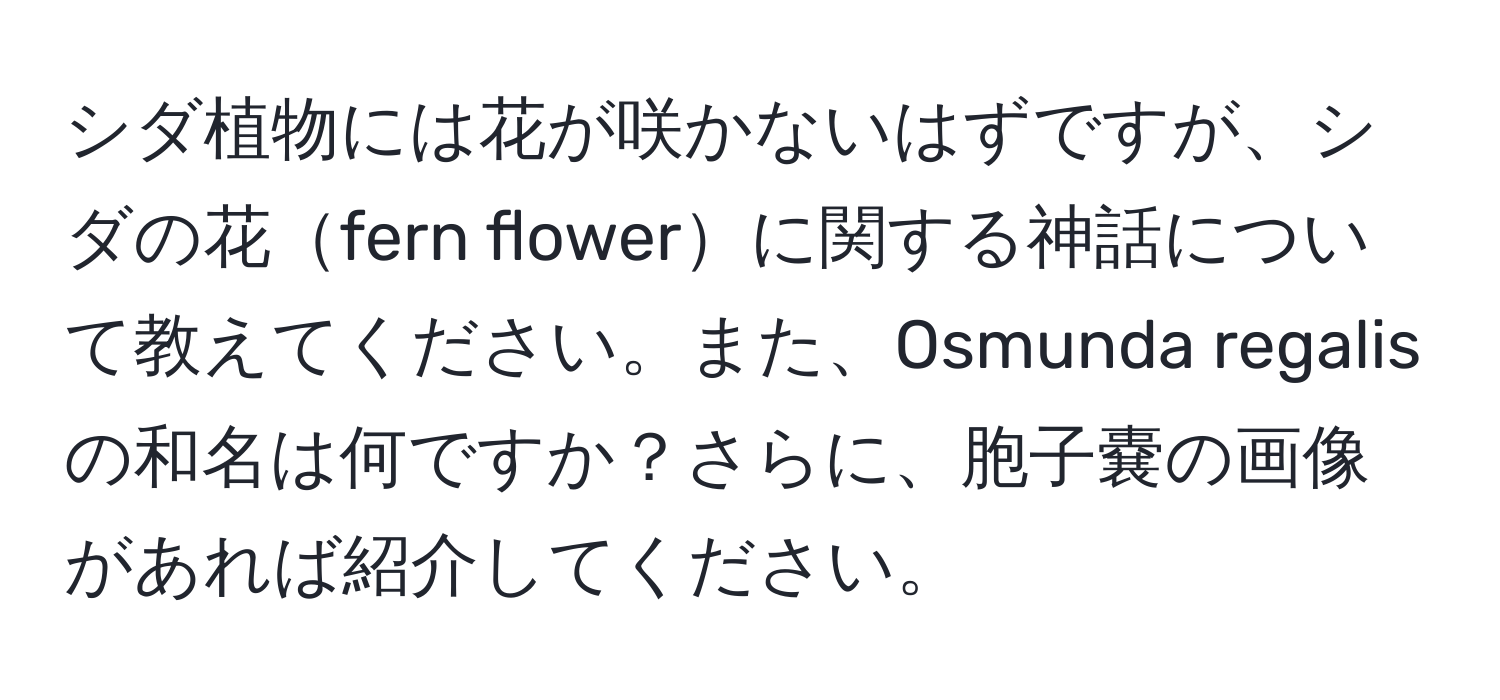 シダ植物には花が咲かないはずですが、シダの花fern flowerに関する神話について教えてください。また、Osmunda regalis の和名は何ですか？さらに、胞子嚢の画像があれば紹介してください。