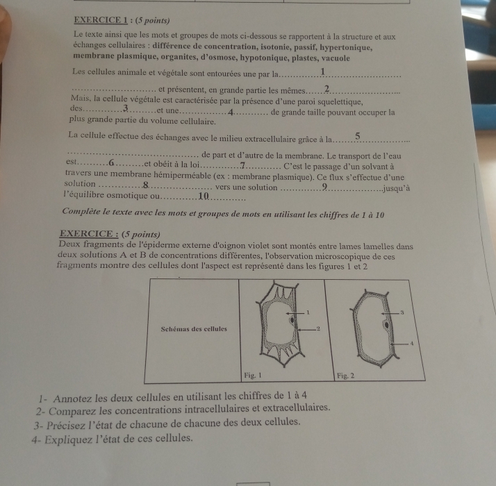 Le texte ainsi que les mots et groupes de mots ci-dessous se rapportent à la structure et aux
échanges cellulaires : différence de concentration, isotonie, passif, hypertonique,
membrane plasmique, organites, d’osmose, hypotonique, plastes, vacuole
Les cellules animale et végétale sont entourées une par la...............1..............
_et présentent, en grande partie les mêmes....?._
Mais, la cellule végétale est caractérisée par la présence d'une paroi squelettique,
des._ 3 et une_ 4.… de grande taille pouvant occuper la
plus grande partie du volume cellulaire.
La cellule effectue des échanges avec le milieu extracellulaire grâce à la..5._
_
de part et d’autre de la membrane. Le transport de l’eau
est _6 et obéit à la loi_ 7. C'est le passage d'un solvant à
travers une membrane hémiperméable (ex : membrane plasmique). Ce flux s'effectue d'une
solution _8 . vers une solution _9_ jusqu*à
l'équilibre osmotique ou._ 10_
Complète le texte avec les mots et groupes de mots en utilisant les chiffres de 1 à 10
EXERCICE : (5 points)
Deux fragments de l'épiderme externe d'oignon violet sont montés entre lames lamelles dans
deux solutions A et B de concentrations différentes, l'observation microscopique de ces
fragments montre des cellules dont l'aspect est représenté dans les figures 1 et 2
1
3
Schémas des cellules 2
4
Fig. 1 Fig. 2
1- Annotez les deux cellules en utilisant les chiffres de 1 à 4
2- Comparez les concentrations intracellulaires et extracellulaires.
3- Précisez l'état de chacune de chacune des deux cellules.
4- Expliquez l'état de ces cellules.