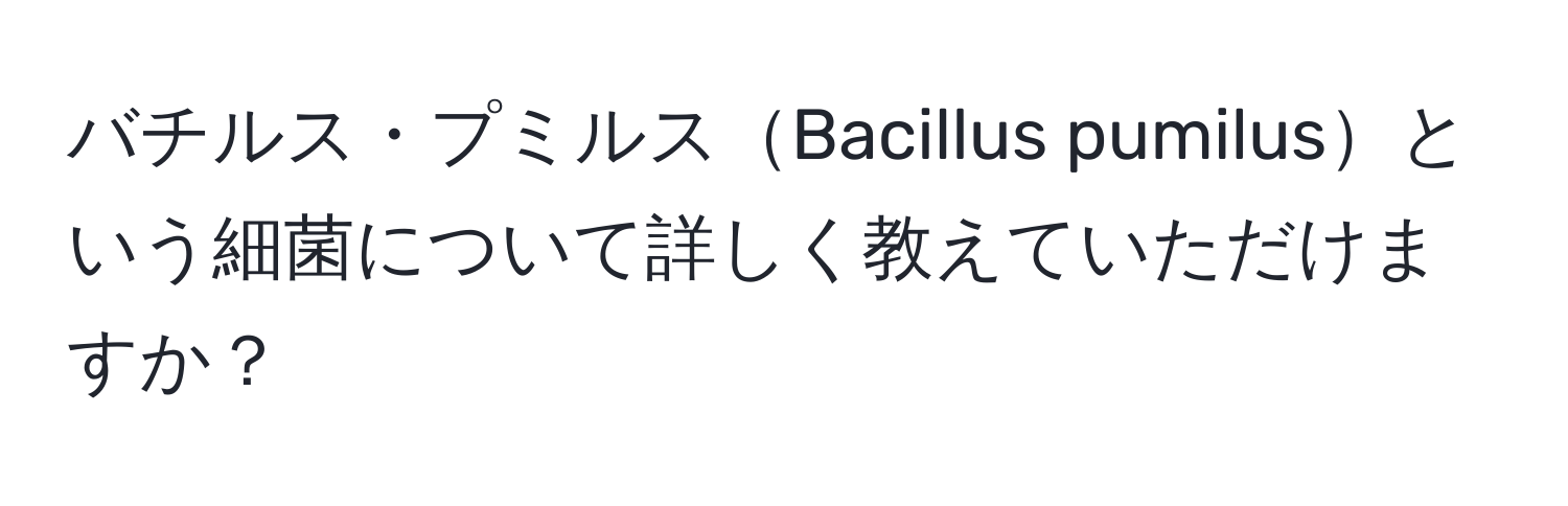 バチルス・プミルスBacillus pumilusという細菌について詳しく教えていただけますか？