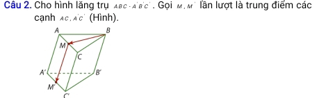 Cho hình lăng trụ ABC· A'B'C'. Gọi M-M T lần lượt là trung điểm các
cạnh Ac. A'c' (Hình).