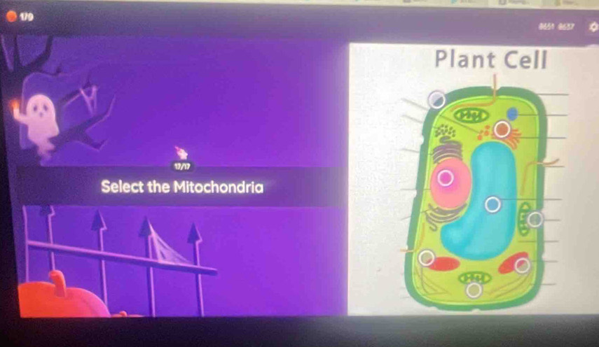 179
8651 0637
Select the Mitochondria