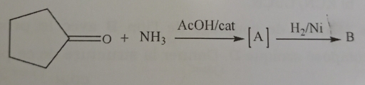 =0+NH_3xrightarrow AcOH/cat[A] _ H_2/Ni B