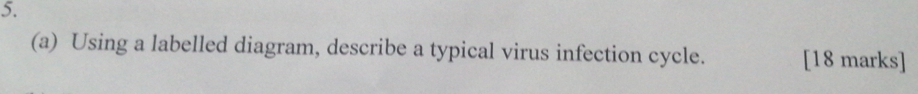 Using a labelled diagram, describe a typical virus infection cycle. 
[18 marks]