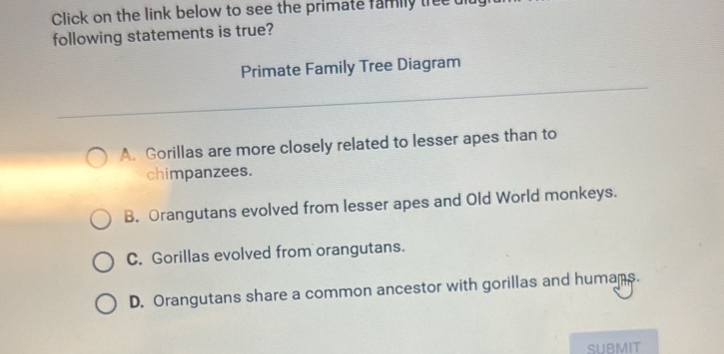 Click on the link below to see the primate family treeut
following statements is true?
Primate Family Tree Diagram
A. Gorillas are more closely related to lesser apes than to
chimpanzees.
B. Orangutans evolved from lesser apes and Old World monkeys.
C. Gorillas evolved from orangutans.
D. Orangutans share a common ancestor with gorillas and humams.
SUBMIT