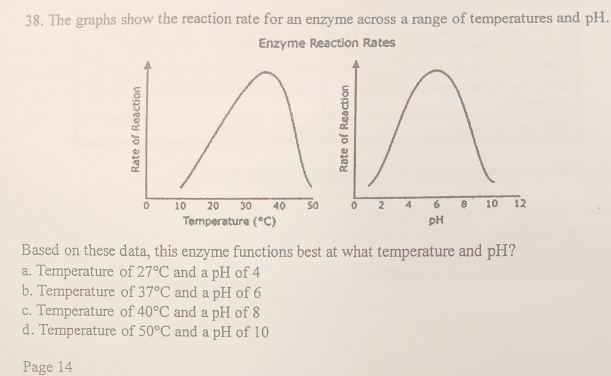 Solved: The graphs show the reaction rate for an enzyme across a range ...