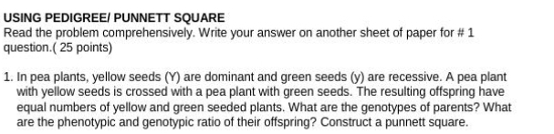 USING PEDIGREE/ PUNNETT SQUARE 
Read the problem comprehensively. Write your answer on another sheet of paper for # 1 
question.( 25 points) 
1. In pea plants, yellow seeds (Y) are dominant and green seeds (y) are recessive. A pea plant 
with yellow seeds is crossed with a pea plant with green seeds. The resulting offspring have 
equal numbers of yellow and green seeded plants. What are the genotypes of parents? What 
are the phenotypic and genotypic ratio of their offspring? Construct a punnett square.