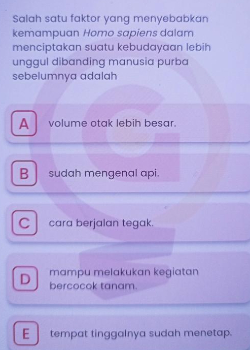 Salah satu faktor yang menyebabkan
kemampuan Homo sapiens dalam
menciptakan suatu kebudayaan lebih
unggul dibanding manusia purba
sebelumnya adalah
A volume otak lebih besar.
Bsudah mengenal api.
C cara berjalan tegak.
mampu melakukan kegiatan
D bercocok tanam.
E tempat tinggalnya sudah menetap.