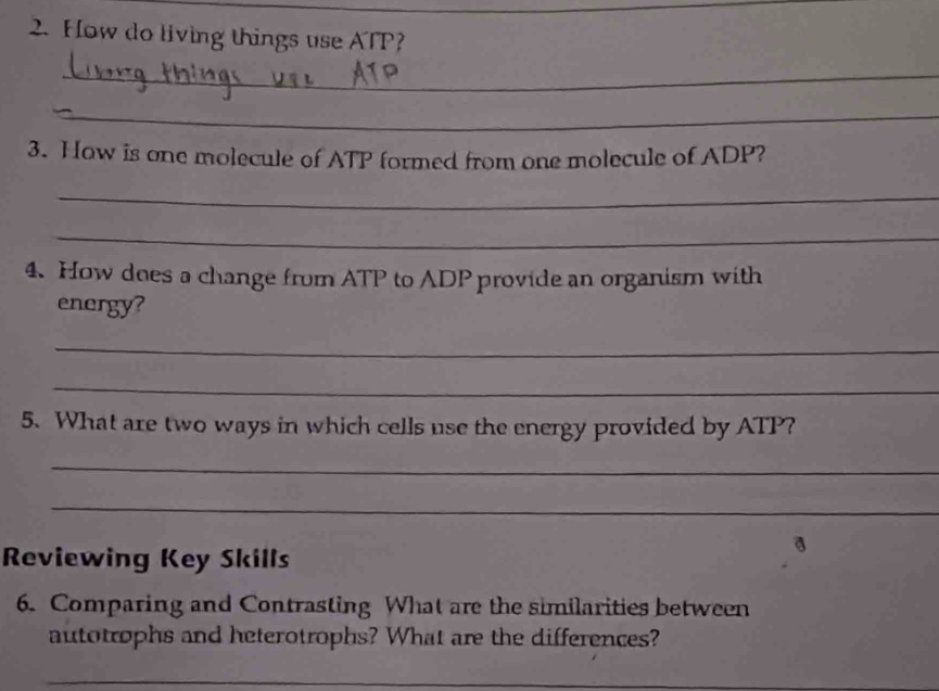 How do living things use ATP? 
_ 
_ 
3. How is one molecule of ATP formed from one molecule of ADP? 
_ 
_ 
4. How does a change from ATP to ADP provide an organism with 
energy? 
_ 
_ 
5. What are two ways in which cells use the energy provided by ATP? 
_ 
_ 
Reviewing Key Skills 
6. Comparing and Contrasting What are the similarities between 
autotrophs and heterotrophs? What are the differences? 
_