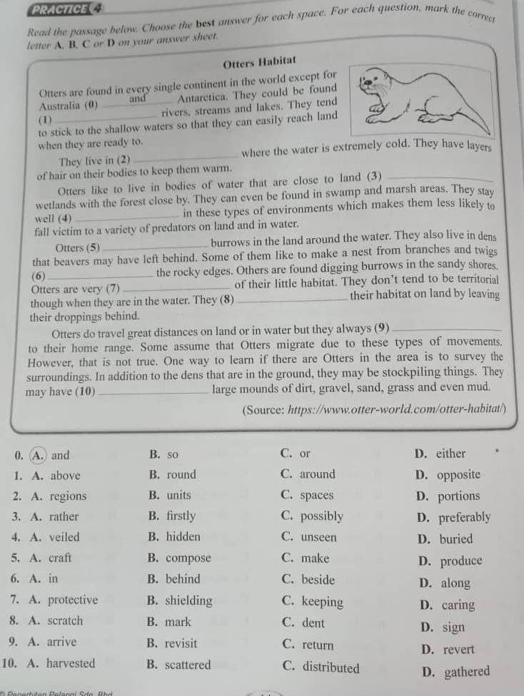 PRACTICE 
Read the passage below. Choose the best answer for each space. For each question, mark the correct
letter A. B, C or D on your answer sheet.
Otters Habitat
Otters are found in every single continent in the world except for
Australia (0) and Antarctica. They could be found
(1) __rivers, streams and lakes. They tend
to stick to the shallow waters so that they can easily reach land
when they are ready to.
They live in (2) _where the water is extremely cold. They have layers
of hair on their bodies to keep them warm.
Otters like to live in bodies of water that are close to land (3)_
wetlands with the forest close by. They can even be found in swamp and marsh areas. They stav
well (4)_ in these types of environments which makes them less likely to
fall victim to a variety of predators on land and in water.
Otters (5)_ burrows in the land around the water. They also live in dens
that beavers may have left behind. Some of them like to make a nest from branches and twigs
(6)_ the rocky edges. Others are found digging burrows in the sandy shores.
Otters are very (7)_ of their little habitat. They don’t tend to be territorial
though when they are in the water. They (8)_ their habitat on land by leaving
their droppings behind.
Otters do travel great distances on land or in water but they always (9)_
to their home range. Some assume that Otters migrate due to these types of movements.
However, that is not true. One way to learn if there are Otters in the area is to survey the
surroundings. In addition to the dens that are in the ground, they may be stockpiling things. They
may have (10)_ large mounds of dirt, gravel, sand, grass and even mud.
(Source: https://www.otter-world.com/otter-habitat/)
0. A. and B. so C. or D. either
1. A. above B. round C. around D. opposite
2. A. regions B. units C. spaces D. portions
3. A. rather B. firstly C. possibly D. preferably
4. A. veiled B. hidden C. unseen D. buried
5. A. craft B. compose C. make D. produce
6. A. in B. behind C. beside D. along
7. A. protective B. shielding C. keeping D. caring
8. A. scratch B. mark C. dent D. sign
9. A. arrive B. revisit C. return D. revert
10. A. harvested B. scattered C. distributed D. gathered