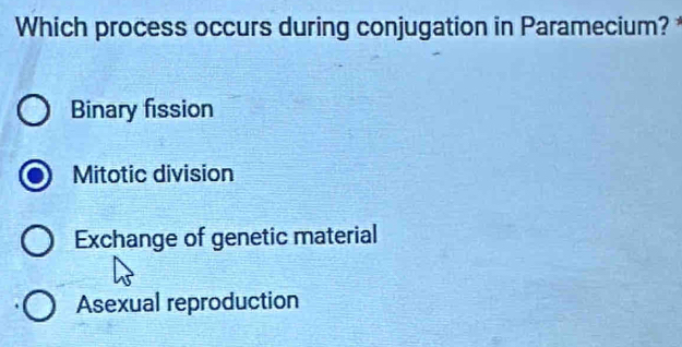 Which process occurs during conjugation in Paramecium?
Binary fission
Mitotic division
Exchange of genetic material
Asexual reproduction