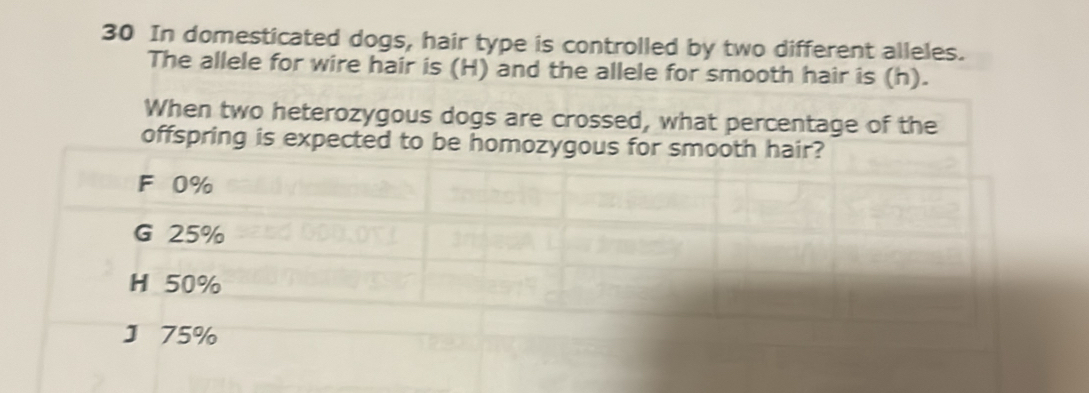 In domesticated dogs, hair type is controlled by two different alleles. 
The allele for wire hair is (H) and the allele for smooth hair is (h).