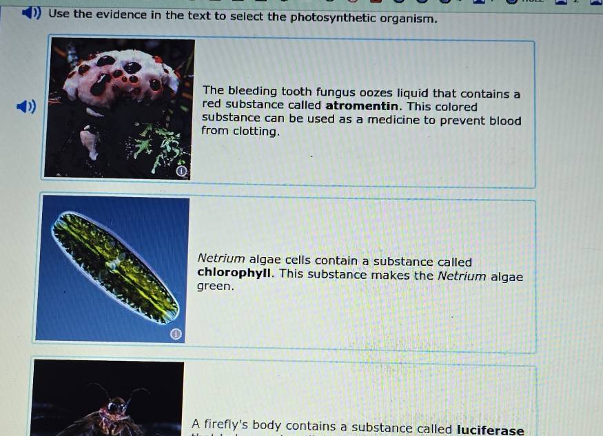 Use the evidence in the text to select the photosynthetic organism.
The bleeding tooth fungus oozes liquid that contains a
red substance called atromentin. This colored
substance can be used as a medicine to prevent blood
from clotting.
Netrium algae cells contain a substance called
chlorophyll. This substance makes the Netrium algae
green.
A firefly's body contains a substance called Iuciferase