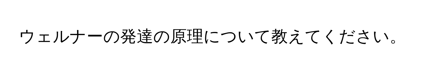 ウェルナーの発達の原理について教えてください。