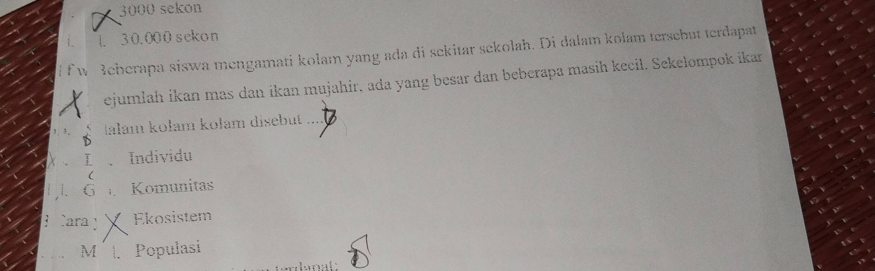 3000 sekon
1. 30.000 sekon
fr Beberapa siswa mengamati kolam yang ada di sekitar sekolah. Di dalam kolam tersebut terdapat
ejumlah ikan mas dan íkan mujahir, ada yang besar dan beberapa masíh kecil. Sekelompok ikar
Ilam kołam kolam disebut
3、 3, D
I 、 Individu
(
l. G Komunitas
Cara y Ekosistem
M 1. Populasi