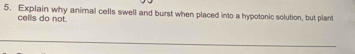 Explain why animal cells swell and burst when placed into a hypotonic solution, but plant 
cells do not.