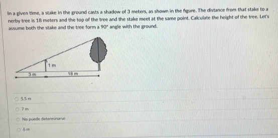 In a given time, a stake in the ground casts a shadow of 3 meters, as shown in the figure. The distance from that stake to a
nerby tree is 18 meters and the top of the tree and the stake meet at the same point. Calculate the height of the tree. Let's
assume both the stake and the tree form a 90° angle with the ground.
5.5 m
7 m
No puede determinarse
6m