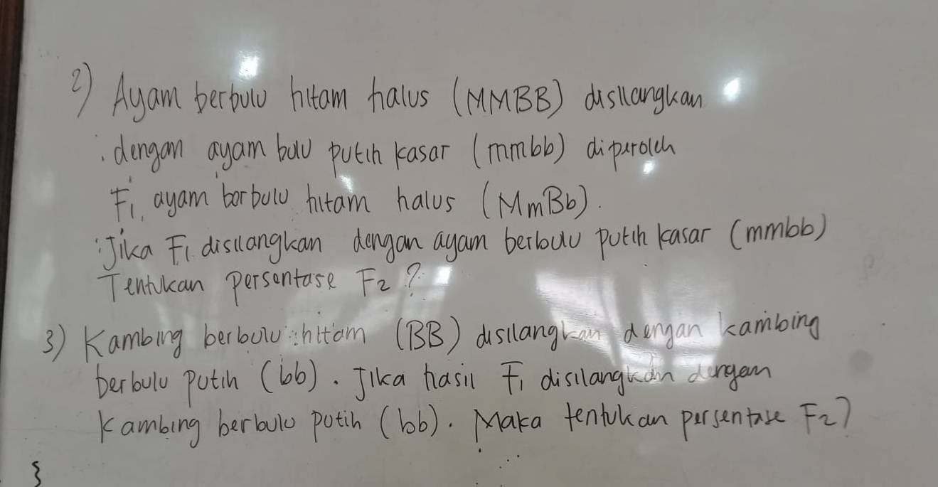 ②) Ayam berbow hitam halus (MMBB) disanguan 
dergan ayam baw putih kasor (mmbb) dipurolch
11 ayam borbow fitam halus (MmBb) 
:Jika Fi discangkan dangan ayam berlouu puth kasar (mmbb) 
Tentokan persontase F_2 7. 
3 ) Kambing berbowshtam (BB) disilangran dengan cambing 
berbulo putih (b6). Jika hasil Fi disilanguan dargen 
Kambing berbao potih (bb). Maka tenlokan persentaue F_2)