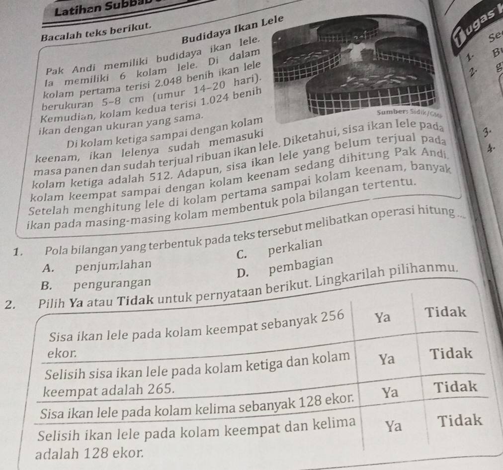 Latihan Subbal
ugas
Budidaya Ikan 
Bacalah teks berikut.
Pak Andi memiliki budidaya ikan lele.
Se
Ia memiliki 6 kolam lele. Di dalam
1. B
2. g
kolam pertama terisi 2.048 benih ikan lele
berukuran 5-8 cm (umur 14-20 hari).
Kemudian, kolam kedua terisi 1.024 benih
ikan dengan ukuran yang sama.
Di kolam ketiga sampai dengan kolam
keenam, ikan lelenya sudah memasuki
masa panen dan sudah terjual ribuan ikan lele. Diketahui, sisa ikapada
3.
kolam ketiga adalah 512. Adapun, sisa ikan lele yang belum terjual pada
kolam keempat sampai dengan kolam keenam sedang dihitung Pak Andi
Setelah menghitung lele di kolam pertama sampai kolam keenam, banyak
ikan pada masing-masing kolam membentuk pola bilangan tertentu.
1. Pola bilangan yang terbentuk pada teks tersebut melibatkan operasi hitung ...
C. perkalian
A. penjumlahan
D. pembagian
2h pilihanmu.