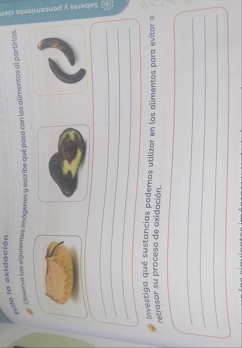 Evito la oxidación 
Observa las siguientes imágenes y escribe qué pasa con los alimentos al partirlos. 。 
D 
_ 
_ 
_ 
_ 
Investiga qué sustancias podemos utilizar en los alimentos para evitar o 
retrasar su proceso de oxidación. 
_ 
_ 
_ 
_ 
_